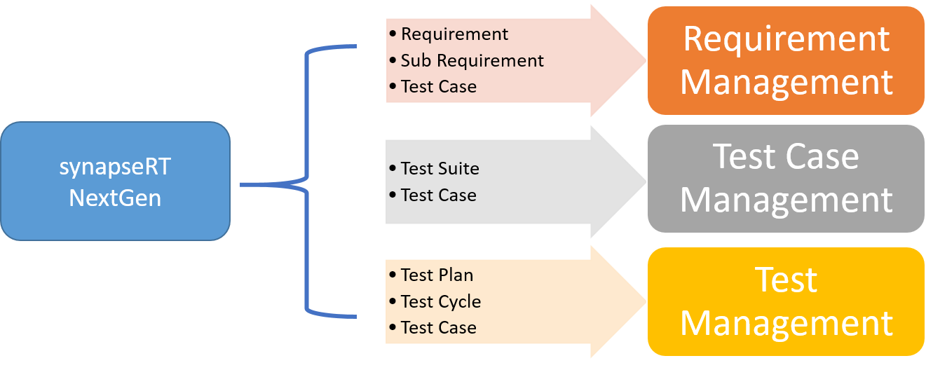 Illustration 1 - Overall Structure of SynapseRT NG.png